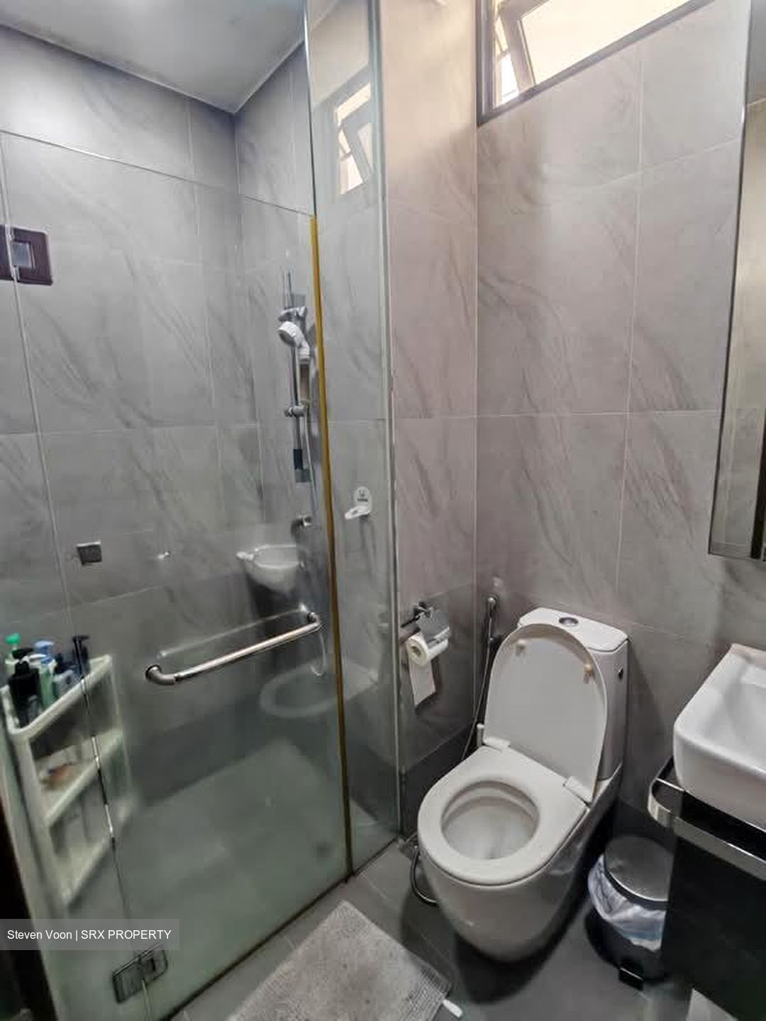 Wishart Road (D4), Condominium #546302901